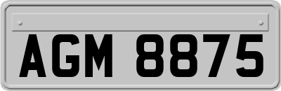AGM8875