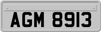 AGM8913