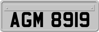 AGM8919
