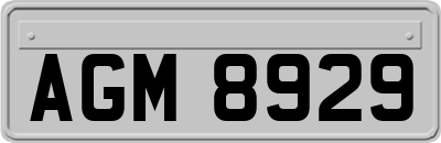 AGM8929