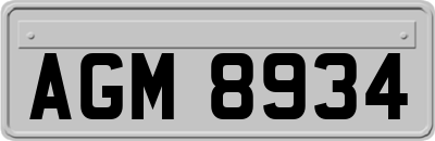 AGM8934