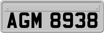 AGM8938