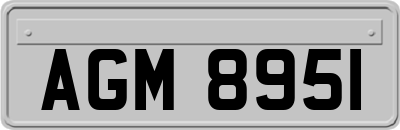 AGM8951