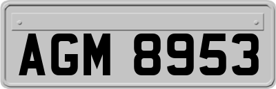 AGM8953