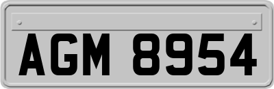 AGM8954