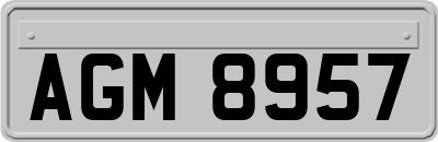 AGM8957