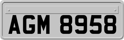 AGM8958