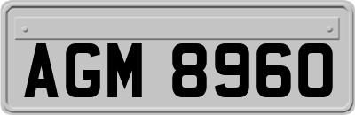 AGM8960