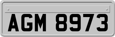 AGM8973