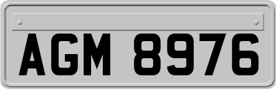 AGM8976