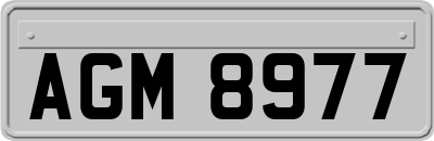AGM8977