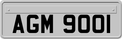 AGM9001