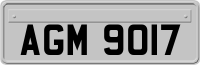 AGM9017