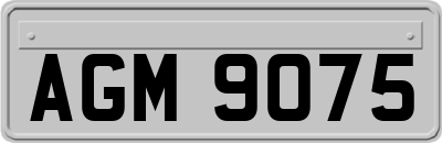 AGM9075