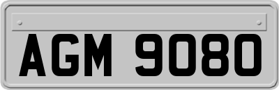 AGM9080