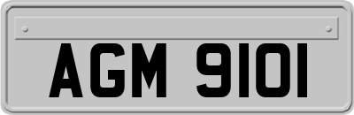 AGM9101