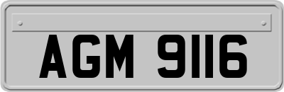 AGM9116
