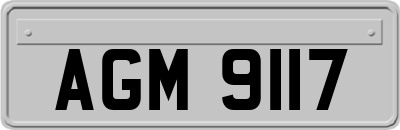 AGM9117