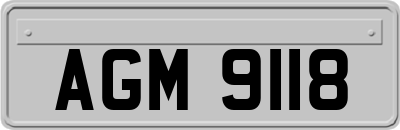 AGM9118