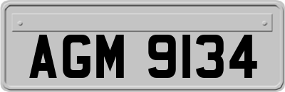 AGM9134