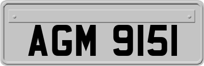 AGM9151