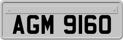 AGM9160