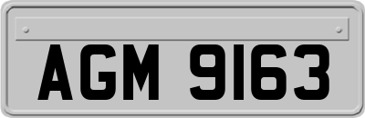 AGM9163