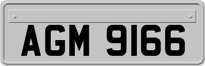 AGM9166