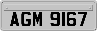 AGM9167