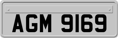 AGM9169