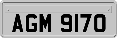 AGM9170