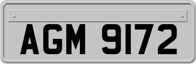 AGM9172