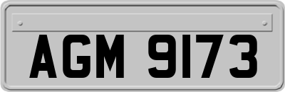AGM9173
