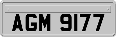 AGM9177