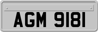 AGM9181