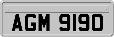 AGM9190