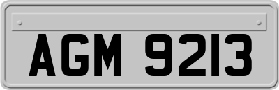 AGM9213