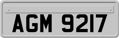 AGM9217