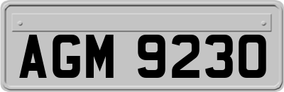 AGM9230