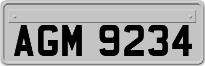 AGM9234