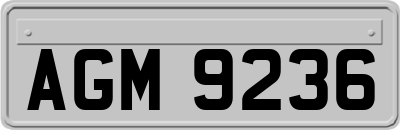 AGM9236