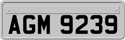 AGM9239