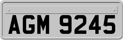AGM9245