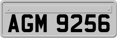 AGM9256