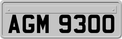 AGM9300