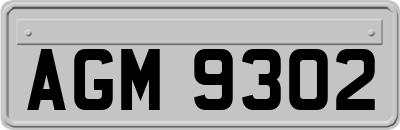 AGM9302