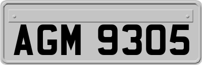 AGM9305