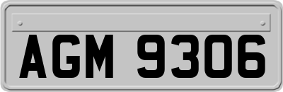 AGM9306