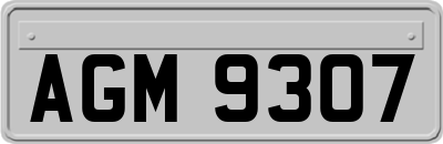 AGM9307