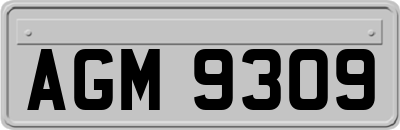 AGM9309
